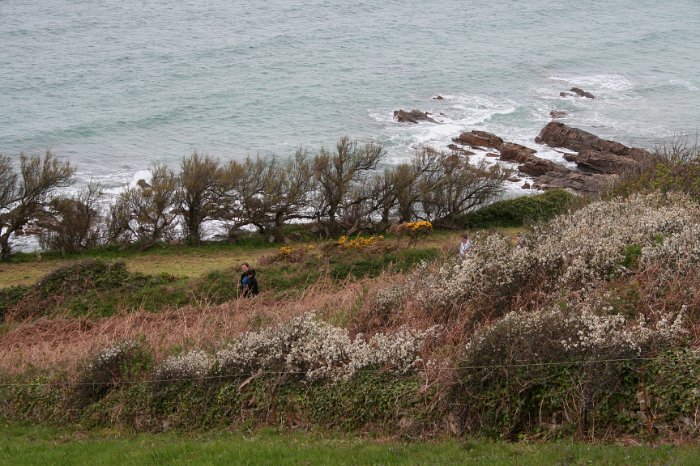 sortie Cotentin 044